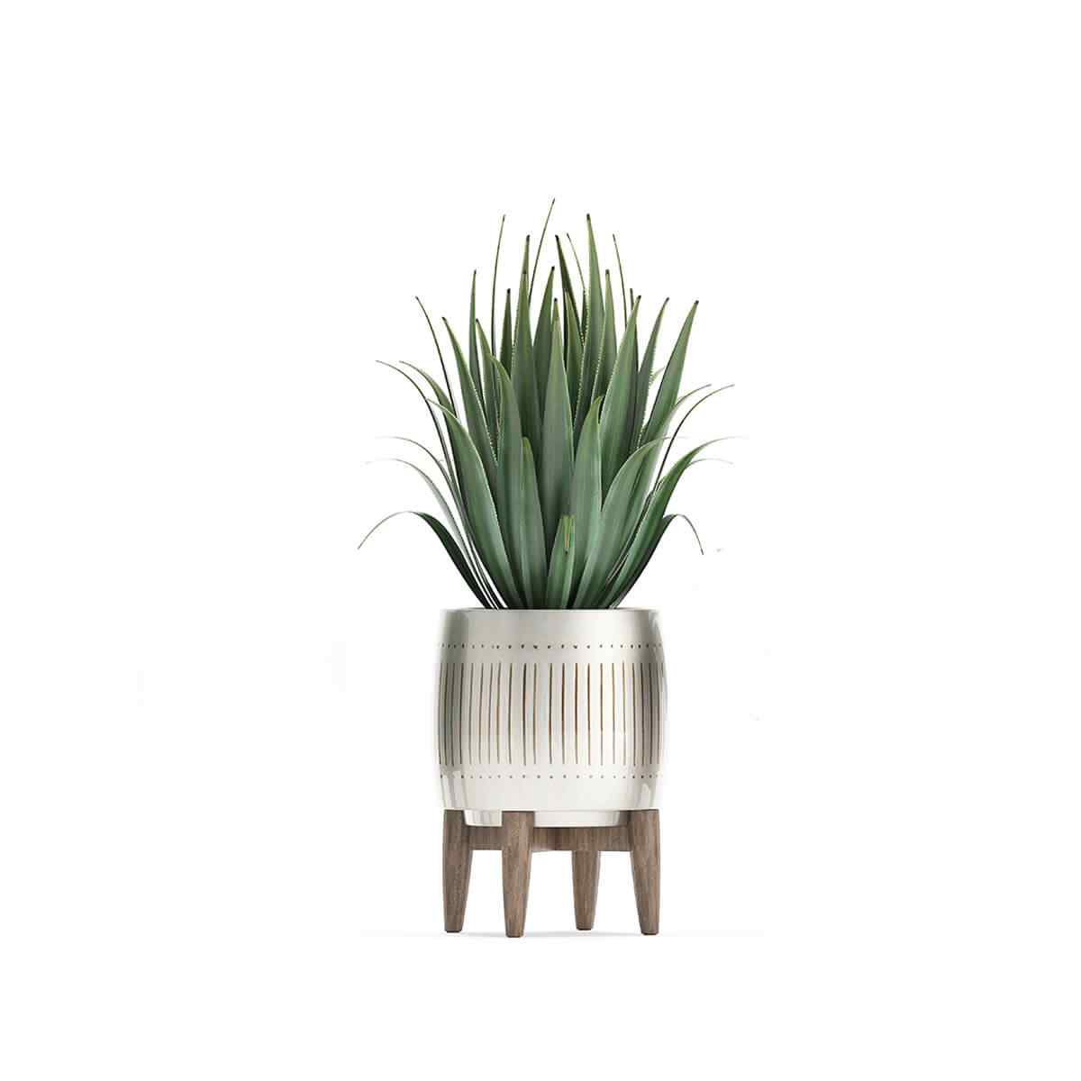 https://www.korpis.de/wp-content/uploads/2018/09/product_07.jpg
