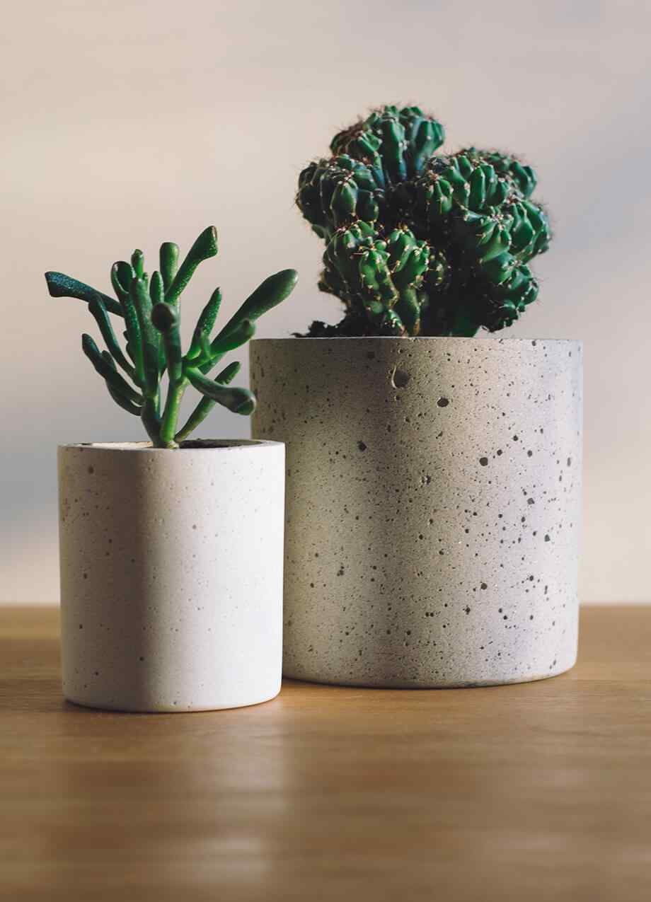 https://www.korpis.de/wp-content/uploads/2019/08/home_03_inner_03.jpg